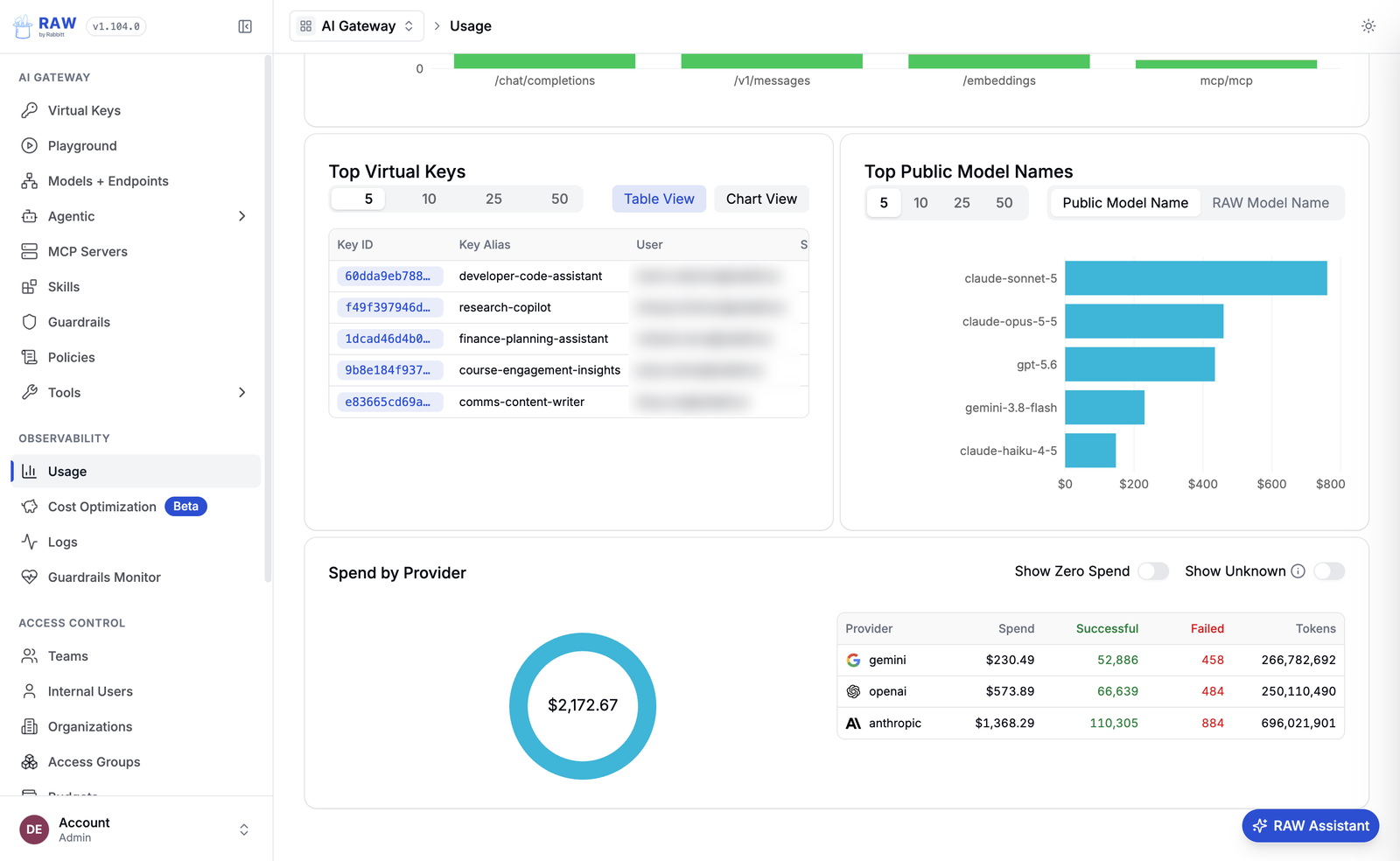 RAW usage view with top virtual keys, top model names, and spend by provider
